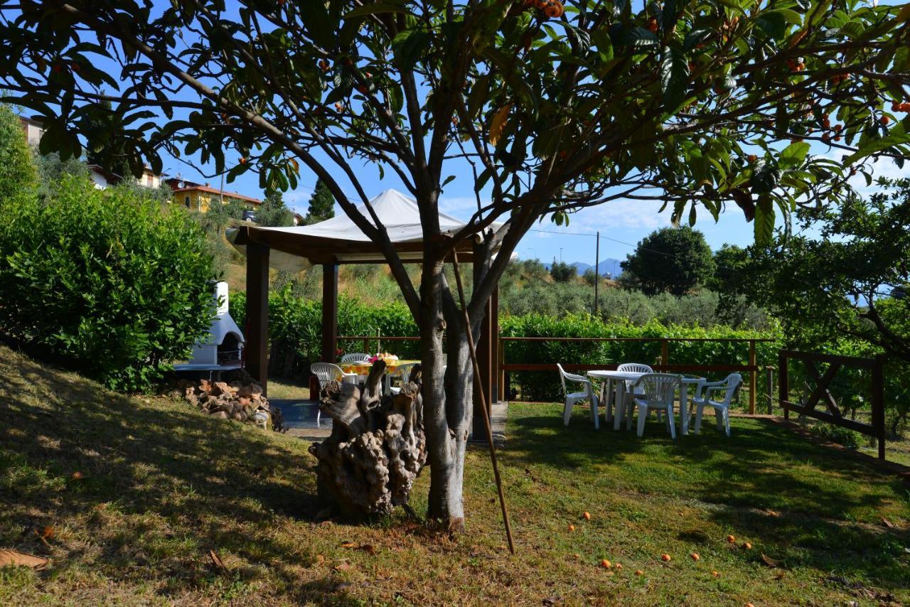 Antiche Mura Casa Vacanze Puegnago Dış mekan fotoğraf