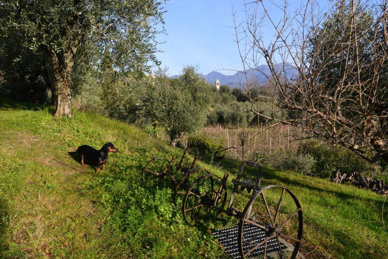 Antiche Mura Casa Vacanze Puegnago Dış mekan fotoğraf