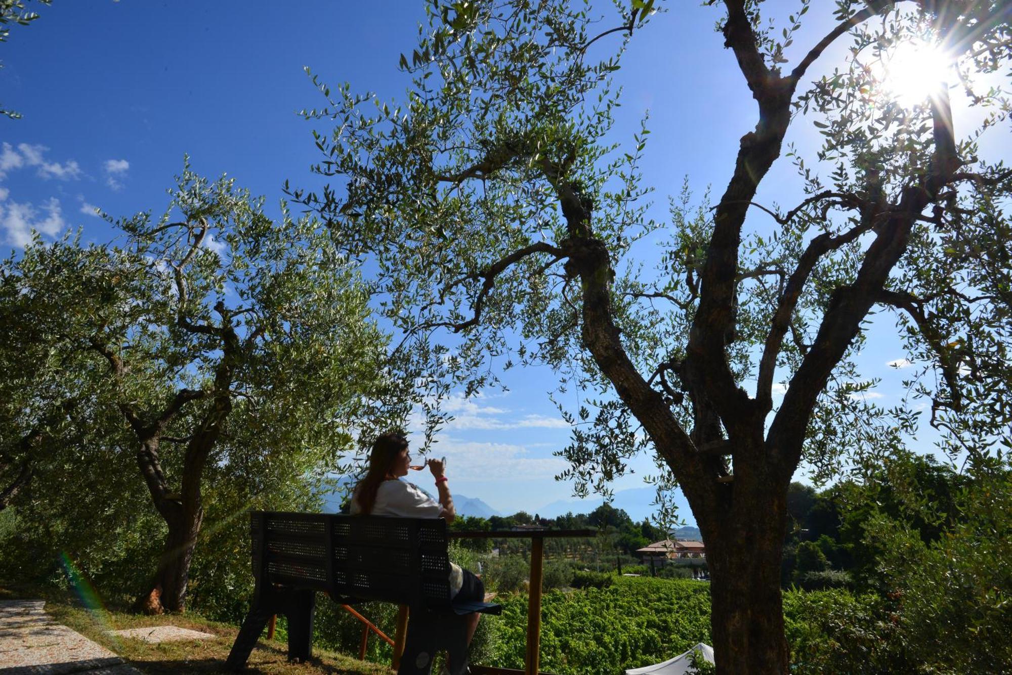 Antiche Mura Casa Vacanze Puegnago Dış mekan fotoğraf