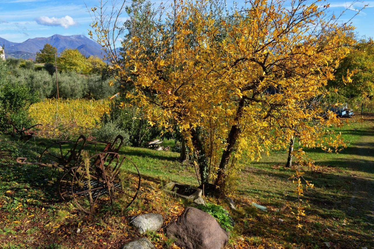 Antiche Mura Casa Vacanze Puegnago Dış mekan fotoğraf